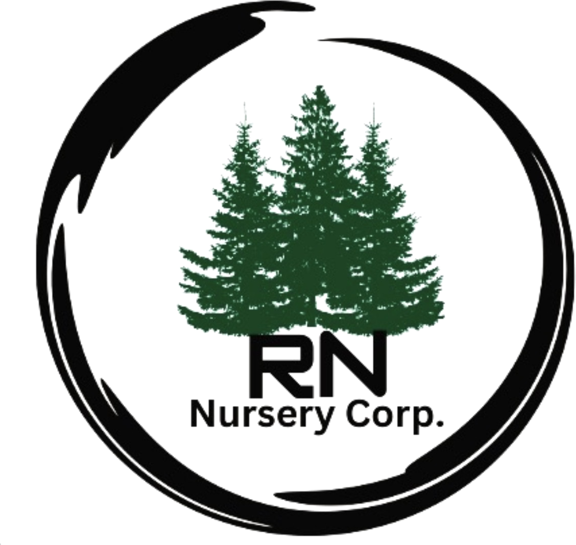 RN Nursery Corp. logo
